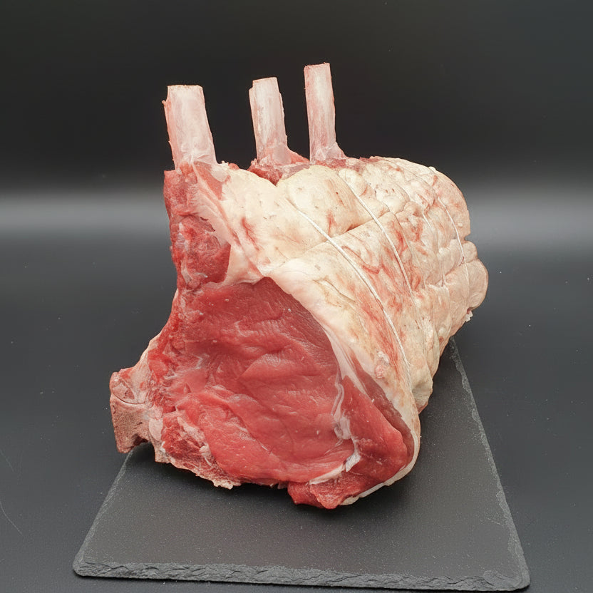 John Howe Wing Rib
