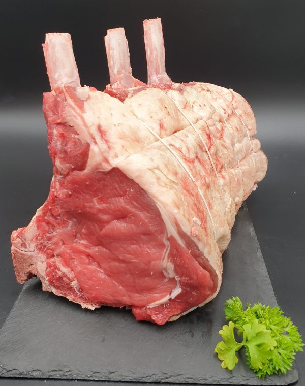 Wing Rib